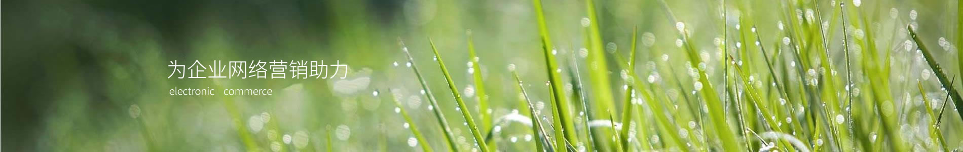 лƼ޹˾